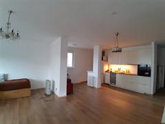 stanovi   Beograd  Dorćol donji    Pančićeva