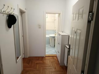 stanovi   Novi Sad  -    