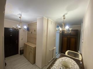 stanovi   Novi Sad  -    