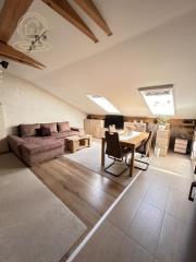 stanovi   Novi Sad  -    