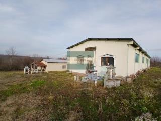 poslovni prostor   Despotovac  -    