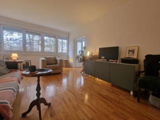 stanovi   Beograd  Hotel Yu i Stari merkator    