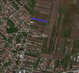 plac   Beograd  Borča    Mihaila Petrovića