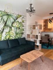 stanovi   Beograd  -    