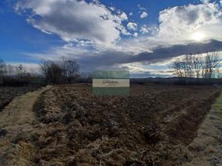 plac   Kragujevac  -    