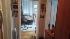 stanovi   Indjija  Indjija    