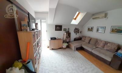 stanovi   Novi Sad  -    