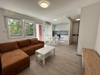 stanovi   Novi Sad  -    