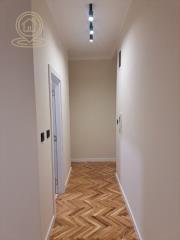 stanovi   Novi Sad  -    Petra Drapsina