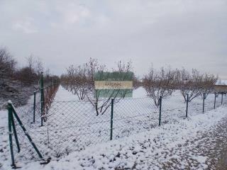 plac   Kragujevac  -    