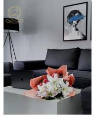 stanovi   Beograd  -    