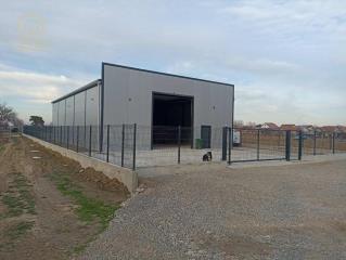 poslovni prostor   Novi Sad  -    