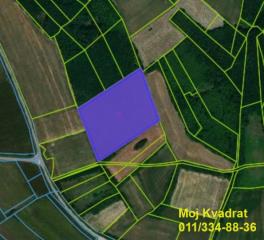 plac   Beograd  -    Bukovac