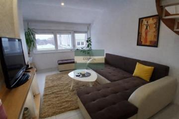 stanovi   Kragujevac  -    