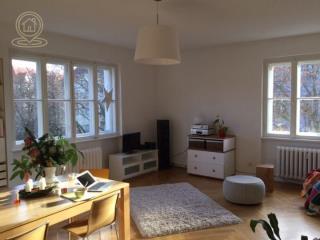 stanovi   Novi Sad  -    