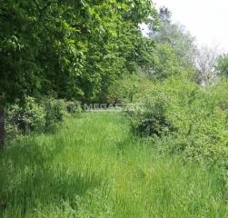 plac   Beograd  Barajevo okolina    Svetosavska