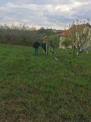 plac   Beograd  Jajinci    Bojana Stupice