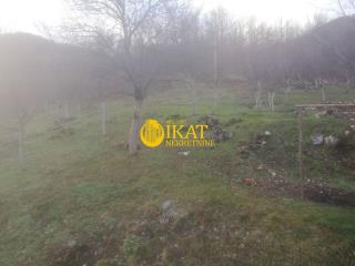 plac   ZLATIBORSKI OKRUG  Predov krst    