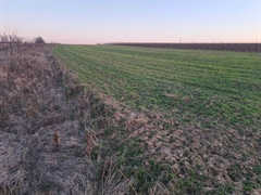 plac   Beograd  Barajevo    