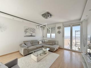 stanovi   Beograd  Banovo brdo    Petra Martinovića