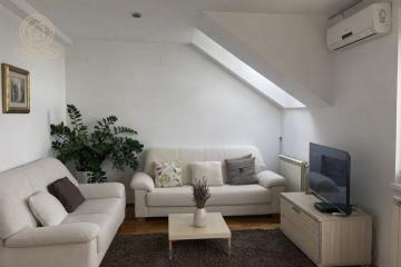 stanovi   Novi Sad  -    