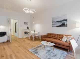 stanovi   Novi Sad  -    