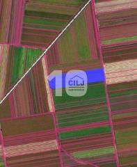 njiva   SREMSKI OKRUG  Golubinci    