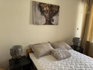 stanovi   Novi Sad  -    Stevana Musića