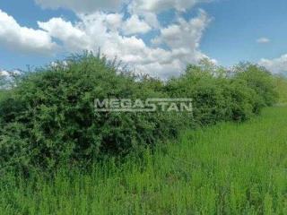 plac   Beograd  Barajevo okolina    