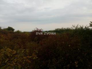 plac   Inđija  -    