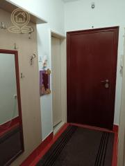 stanovi   Novi Sad  -    