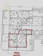 stanovi   Novi Sad  -    