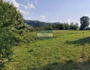 plac   Kragujevac  -    