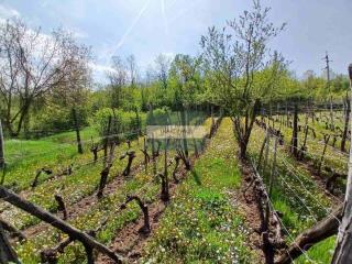 plac   Jagodina  -    