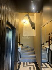 stanovi   Novi Sad  -    