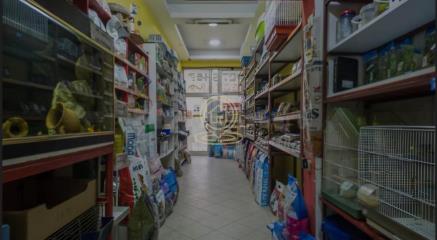 poslovni prostor   Novi Sad  -    
