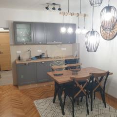 stanovi   Novi Sad  -    