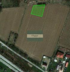 plac   Jagodina  -    