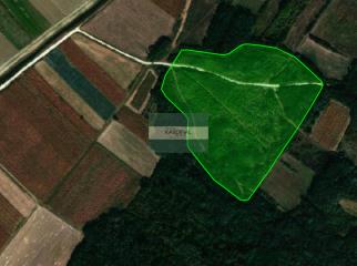 plac   Jagodina  -    