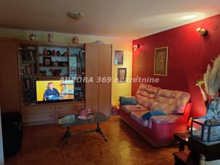 stanovi   Novi Sad  -    
