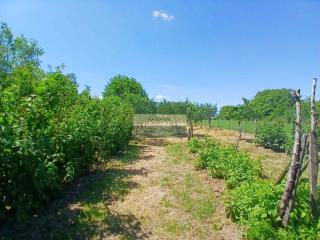 kuće   Jagodina  -    
