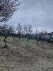 plac   Beograd  Zuce    Župana Tihomira