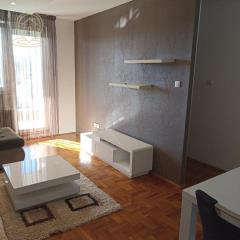 stanovi   Novi Sad  -    