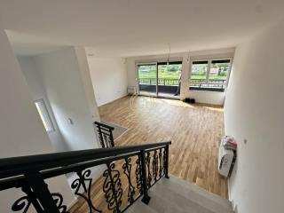 stanovi   Novi Sad  -    