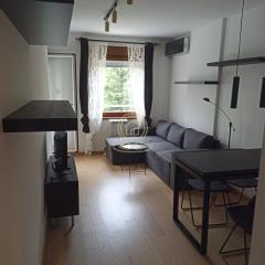 stanovi   Beograd  Crveni krst    Vojvode Petka
