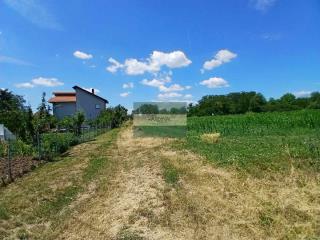 plac   Jagodina  -    