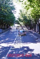 poslovni prostor   Beograd  Zemun Gornji grad    Cara Dušana