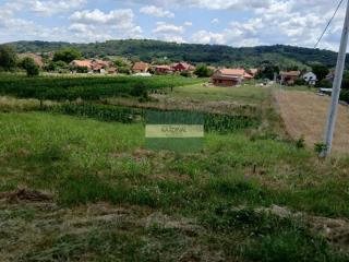 plac   Jagodina  -    