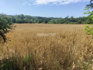 plac   Beograd  Barajevo okolina    