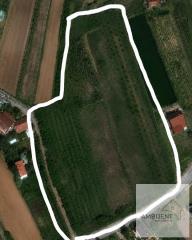 plac   Beograd  -    